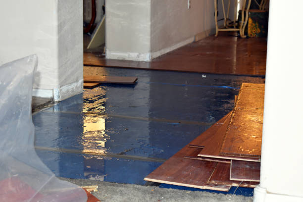 Professional Sewage Cleanup technician working in Rockwell, AR